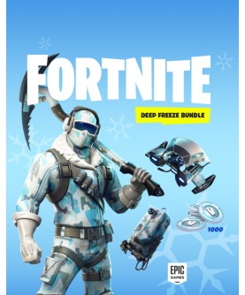 Fortnite Deep Freeze Bundle Switch Nintendo eShop Key EUROPE